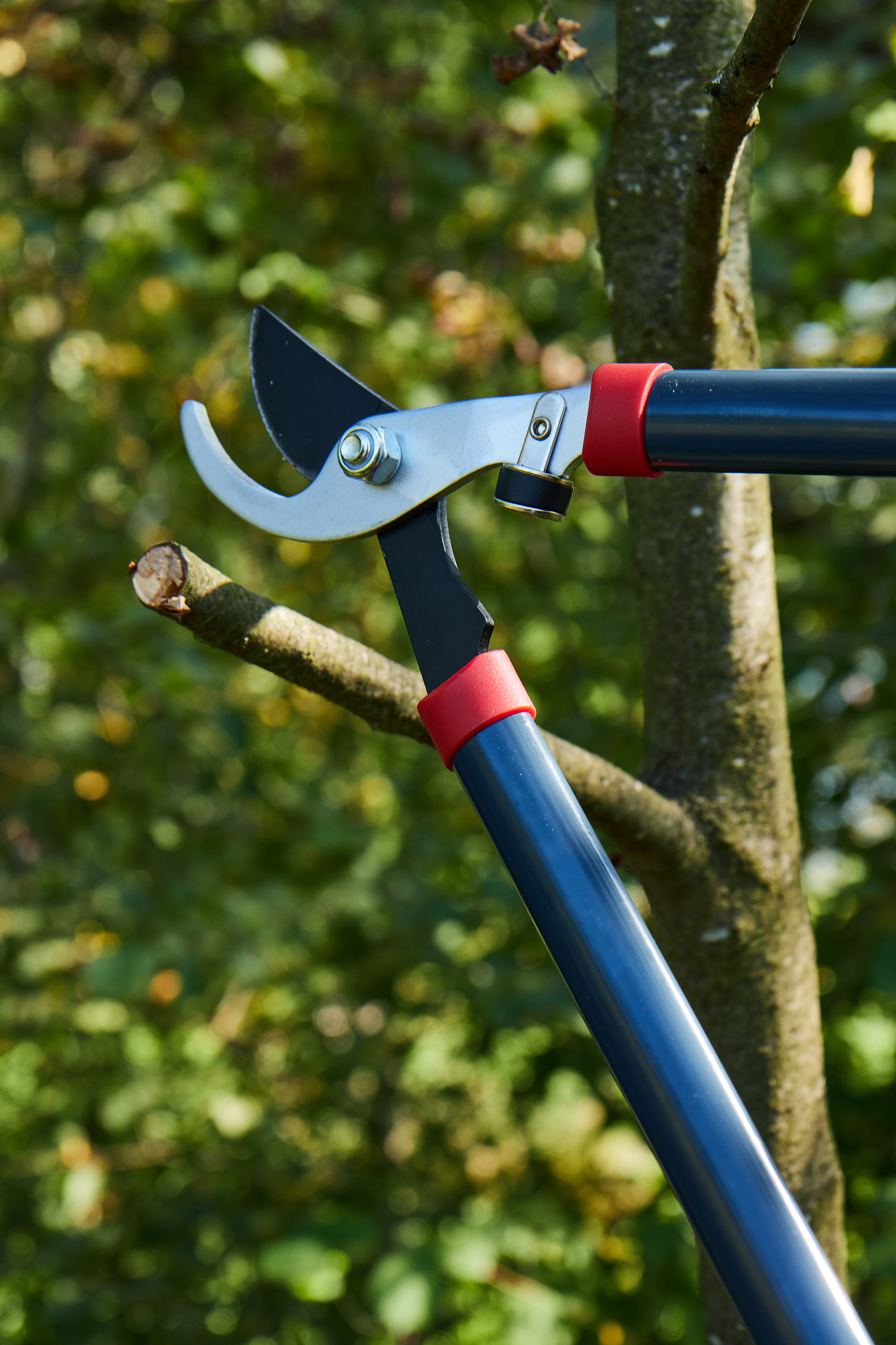 Сучкорез плоскостной — 206460