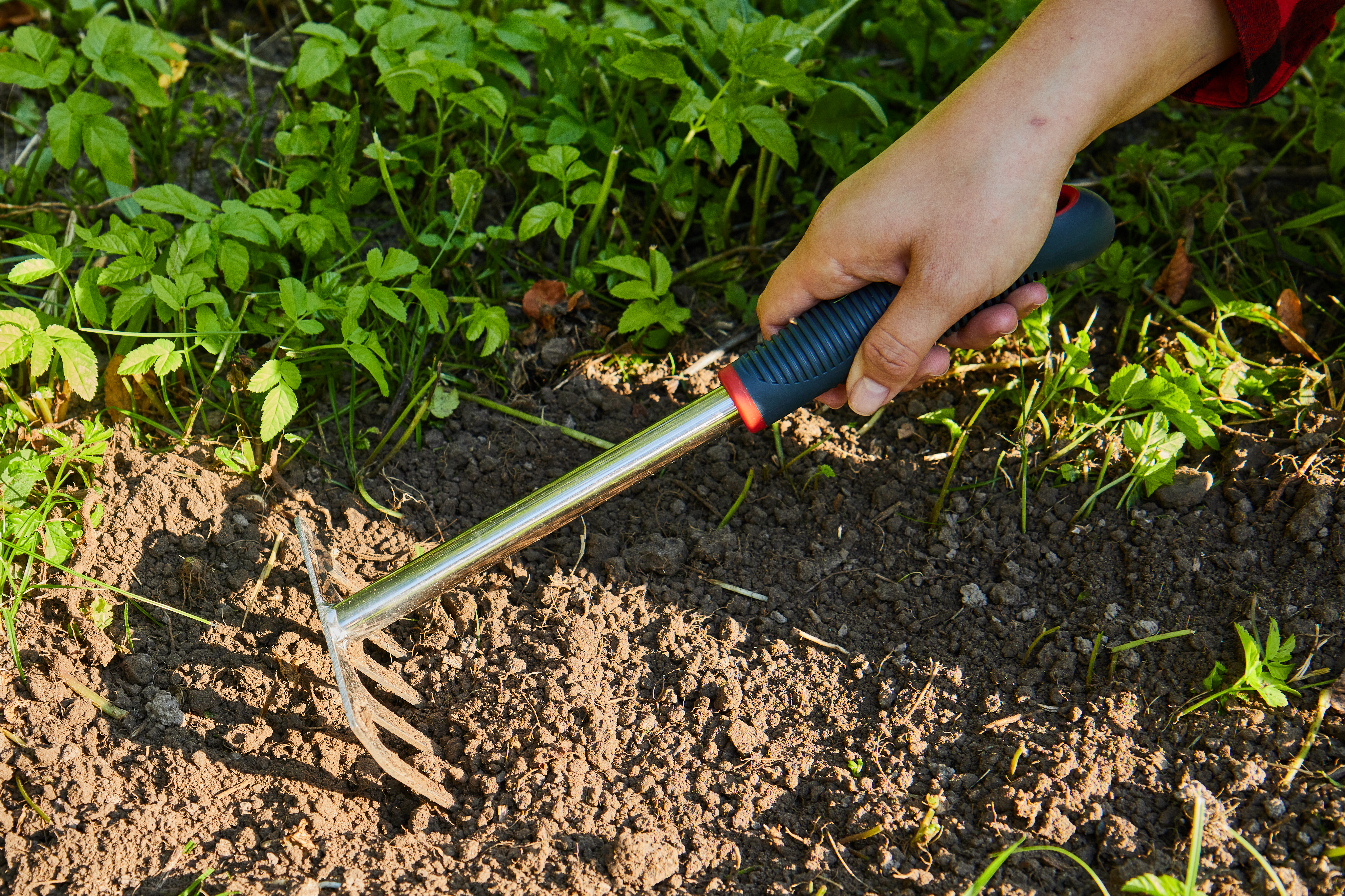 Грабли садовые — 206412