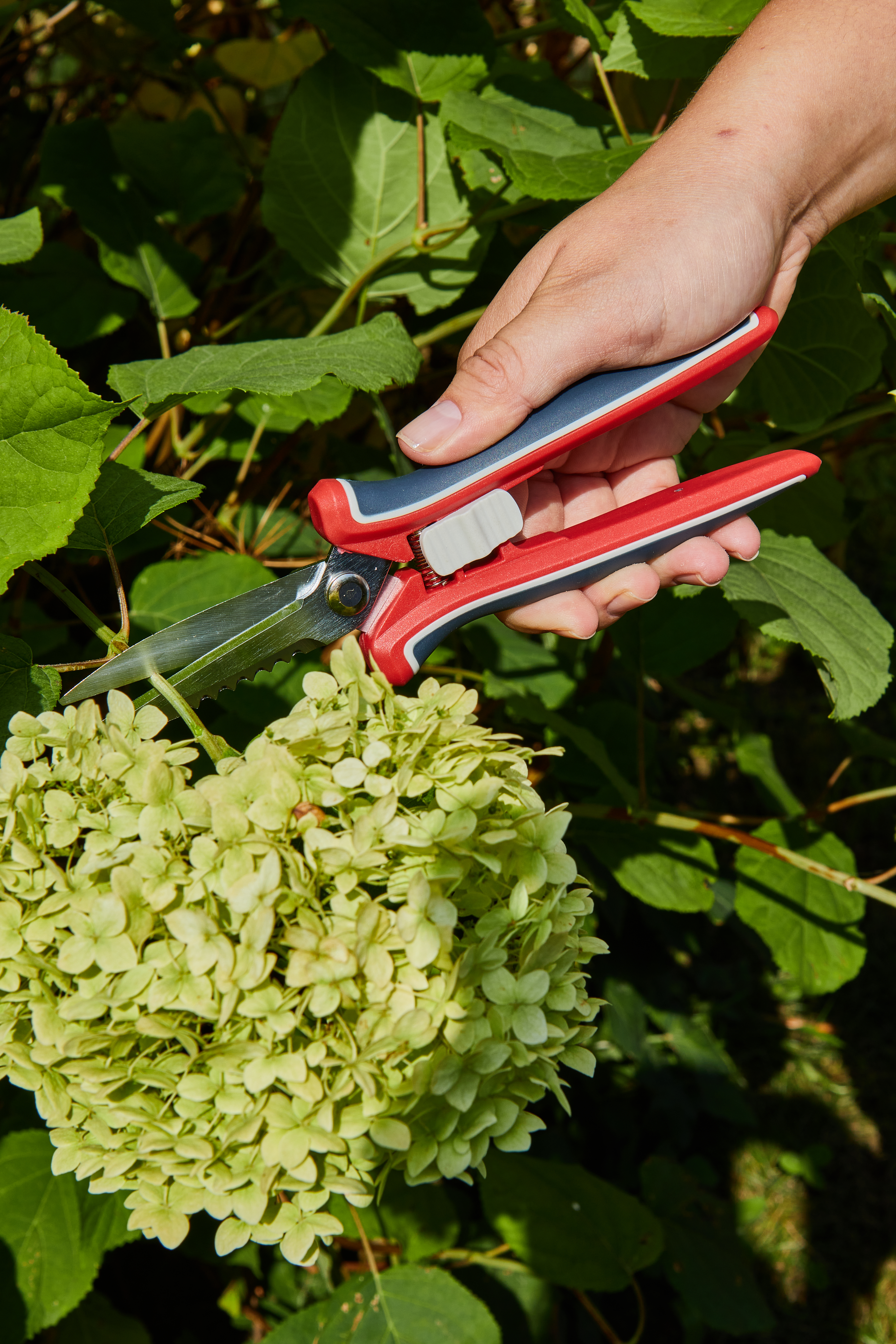 Универсальные садовые ножницы — 206418