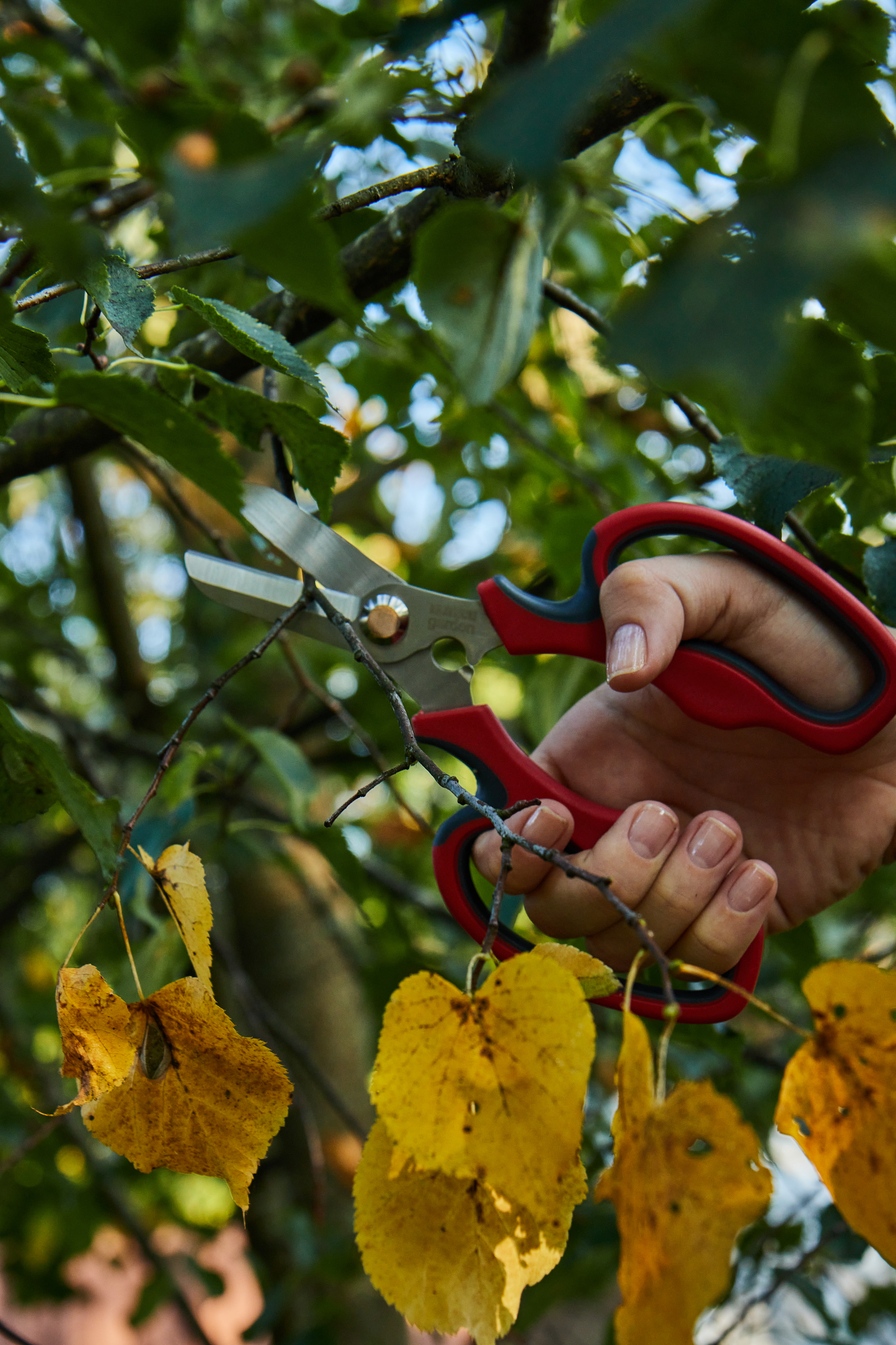 Ножницы для травы