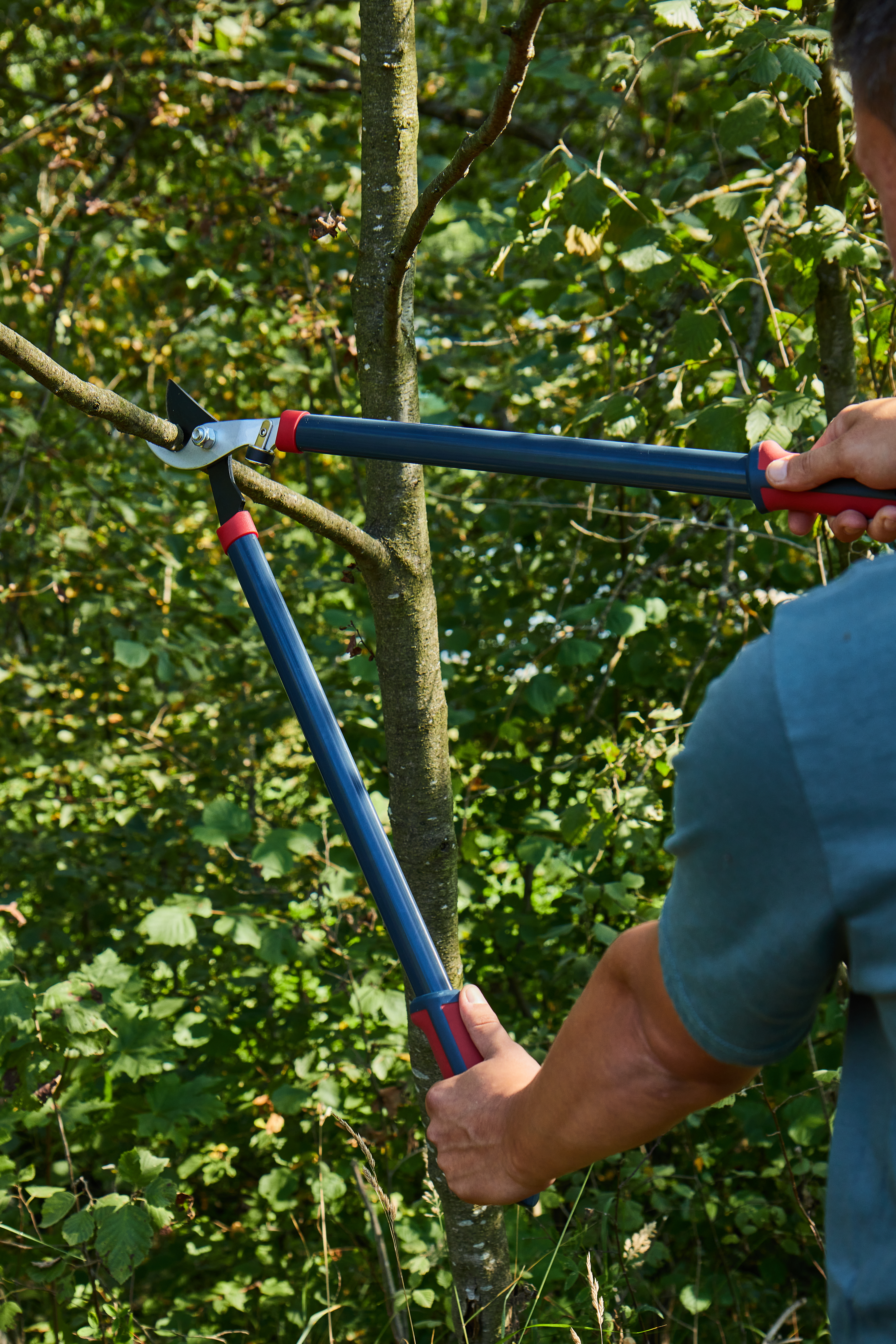 Сучкорез плоскостной — 206460