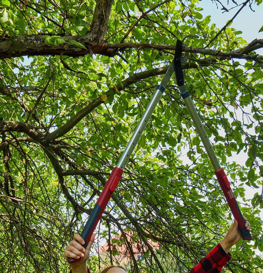 Сучкорез  плоскостной телескопический