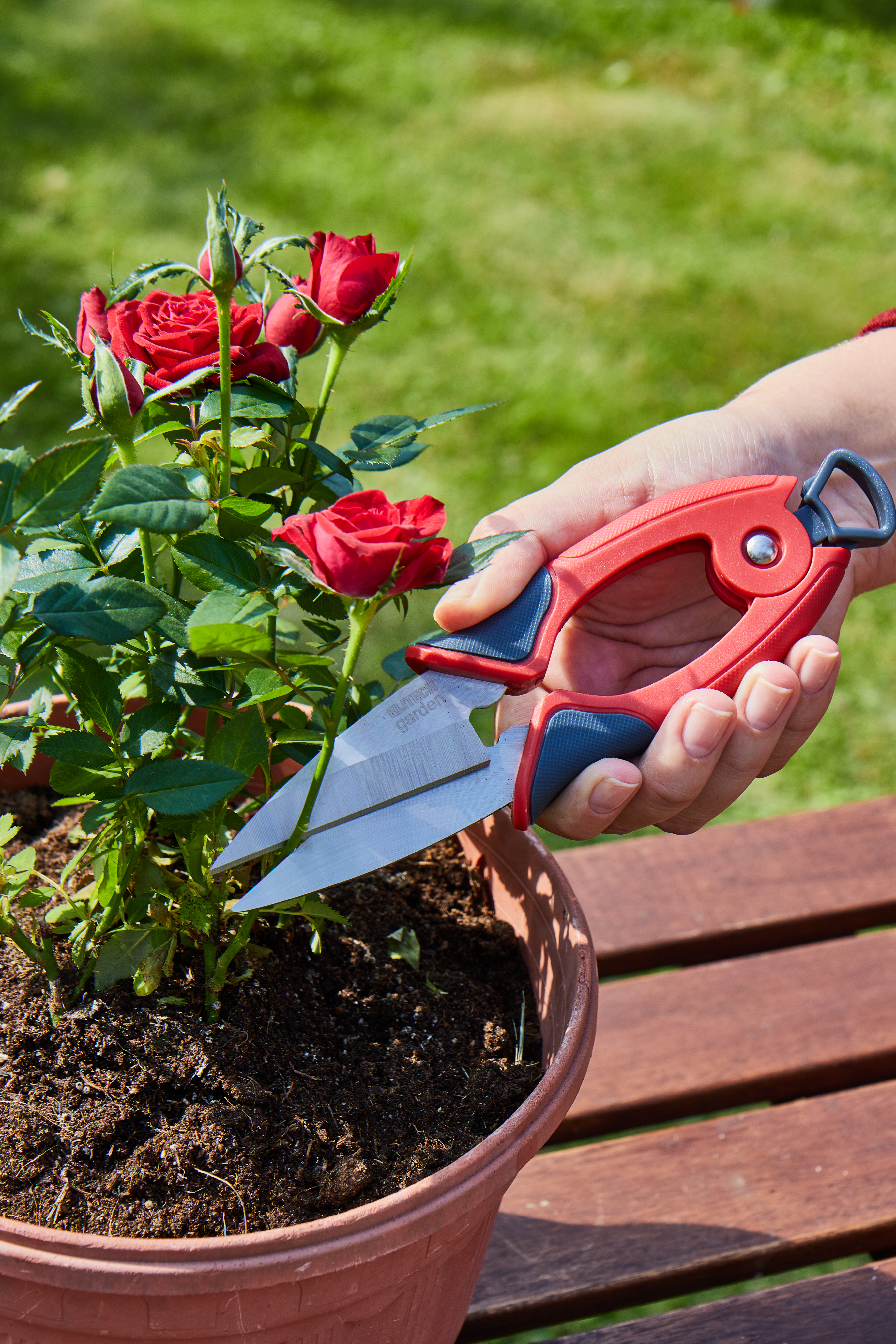 Ножницы для цветов — 206414