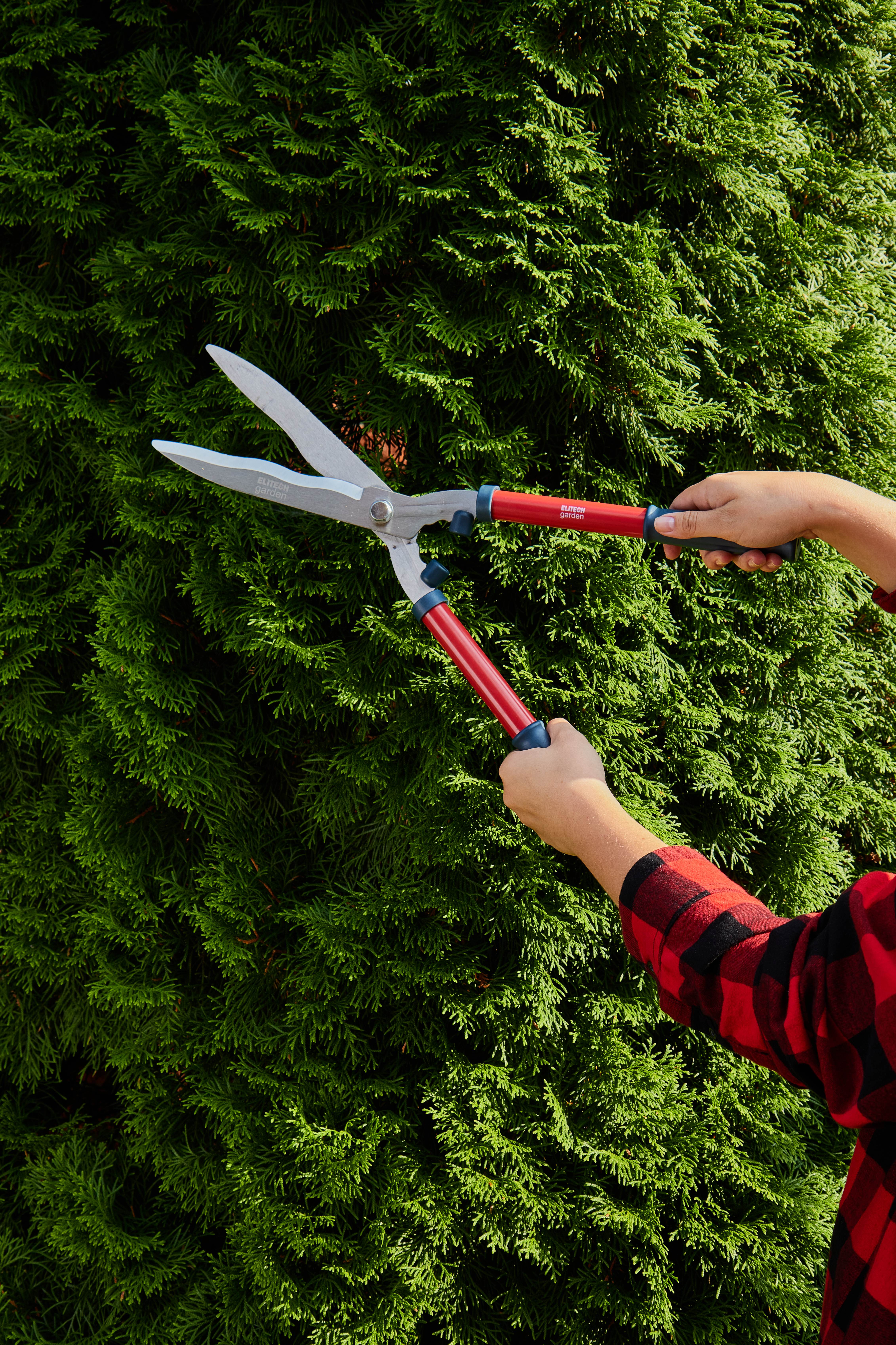 Ножницы   садовые — 206419