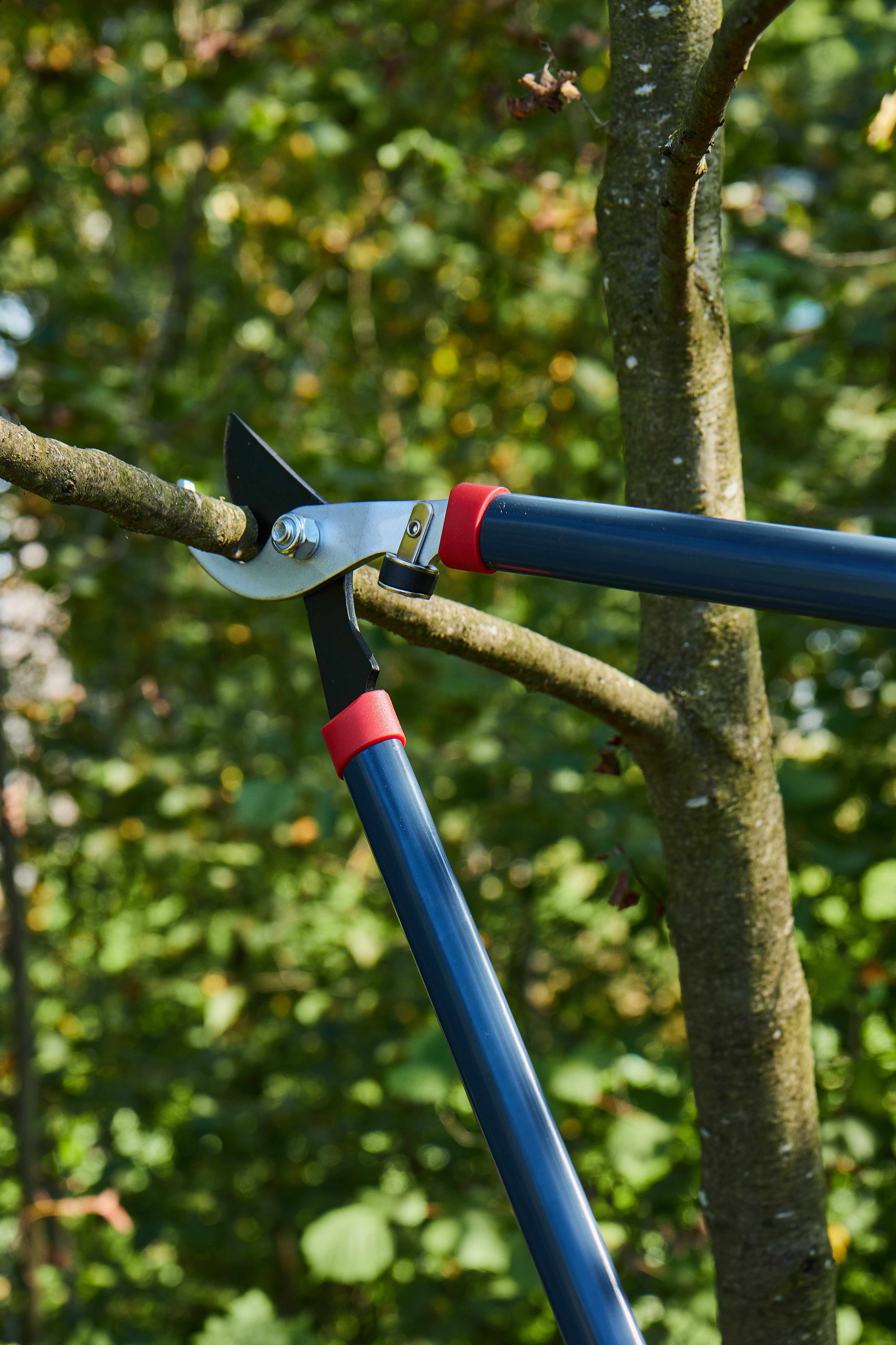 Сучкорез плоскостной