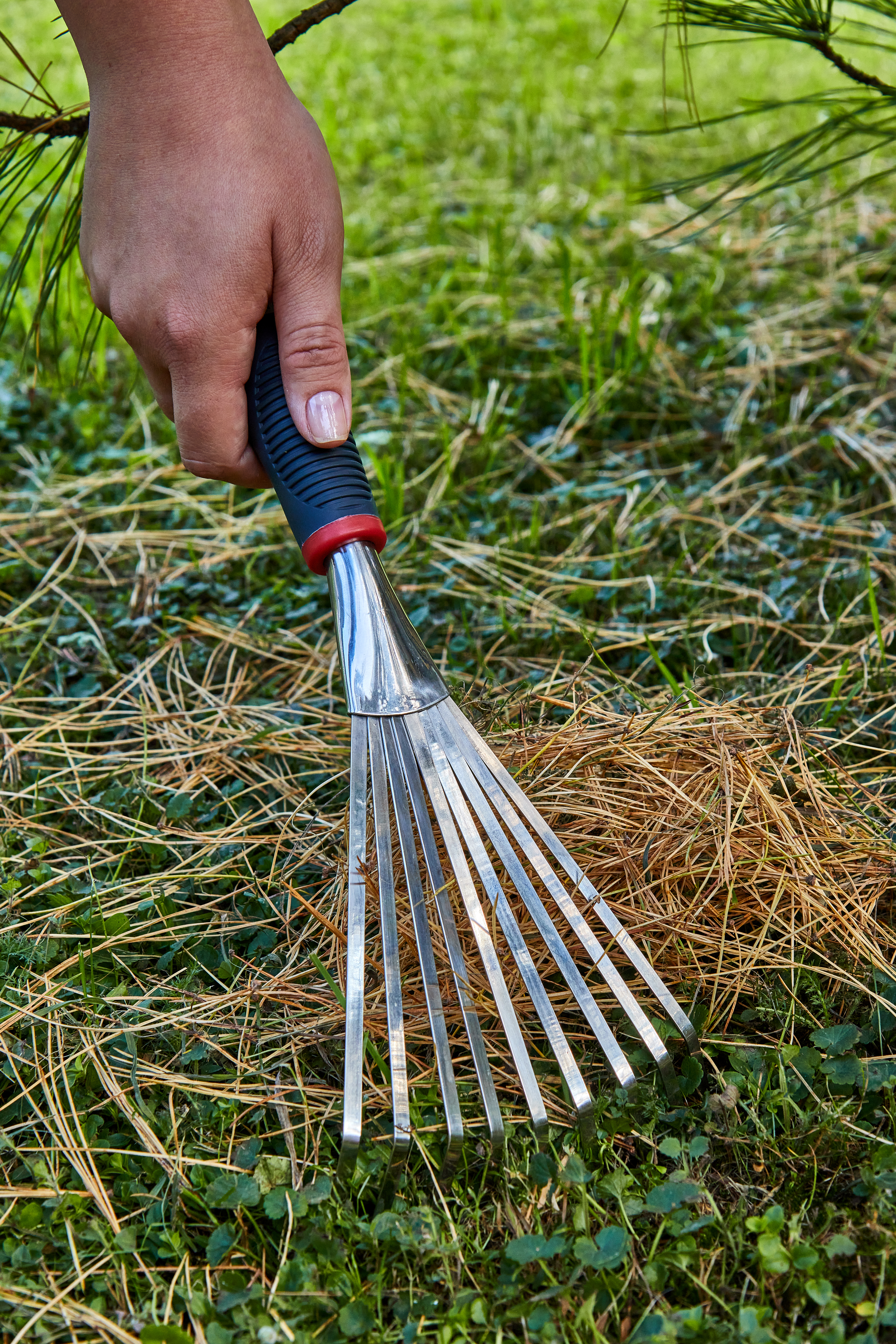 Грабли веерные — 206413