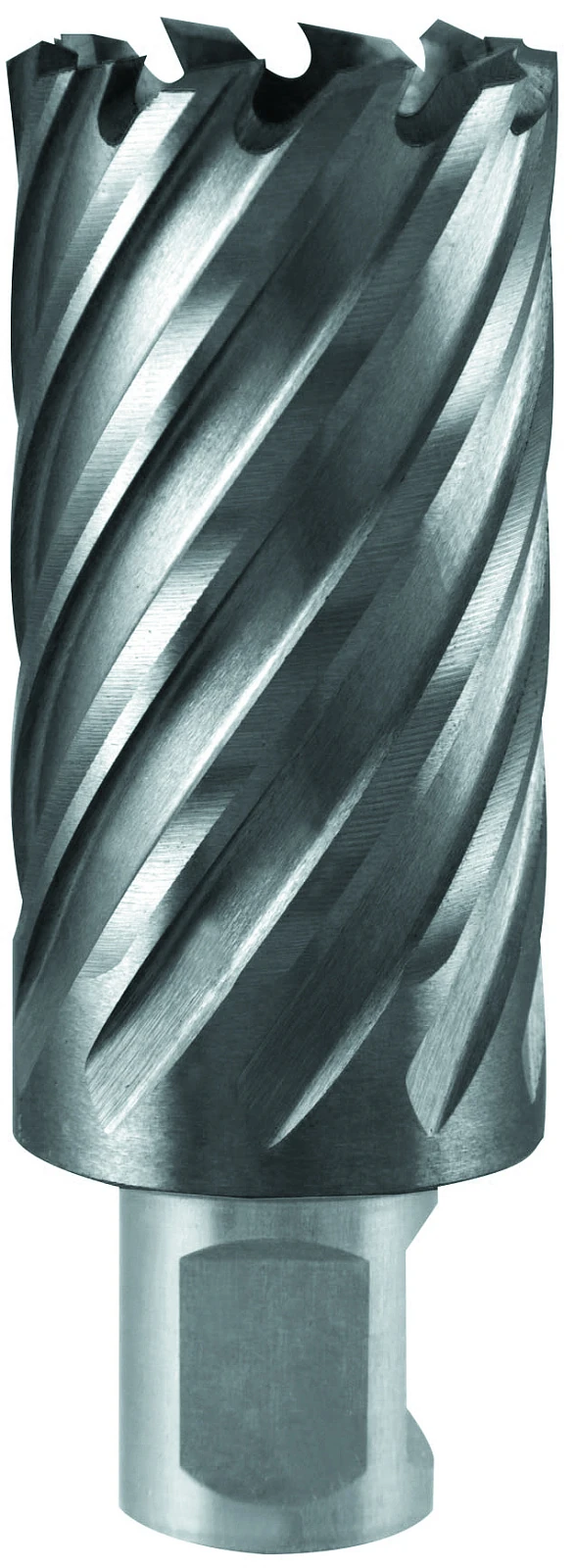 ELITECH 1110.010400 (Фреза по металлу 32х55мм Weldon 19мм TCT) 205065