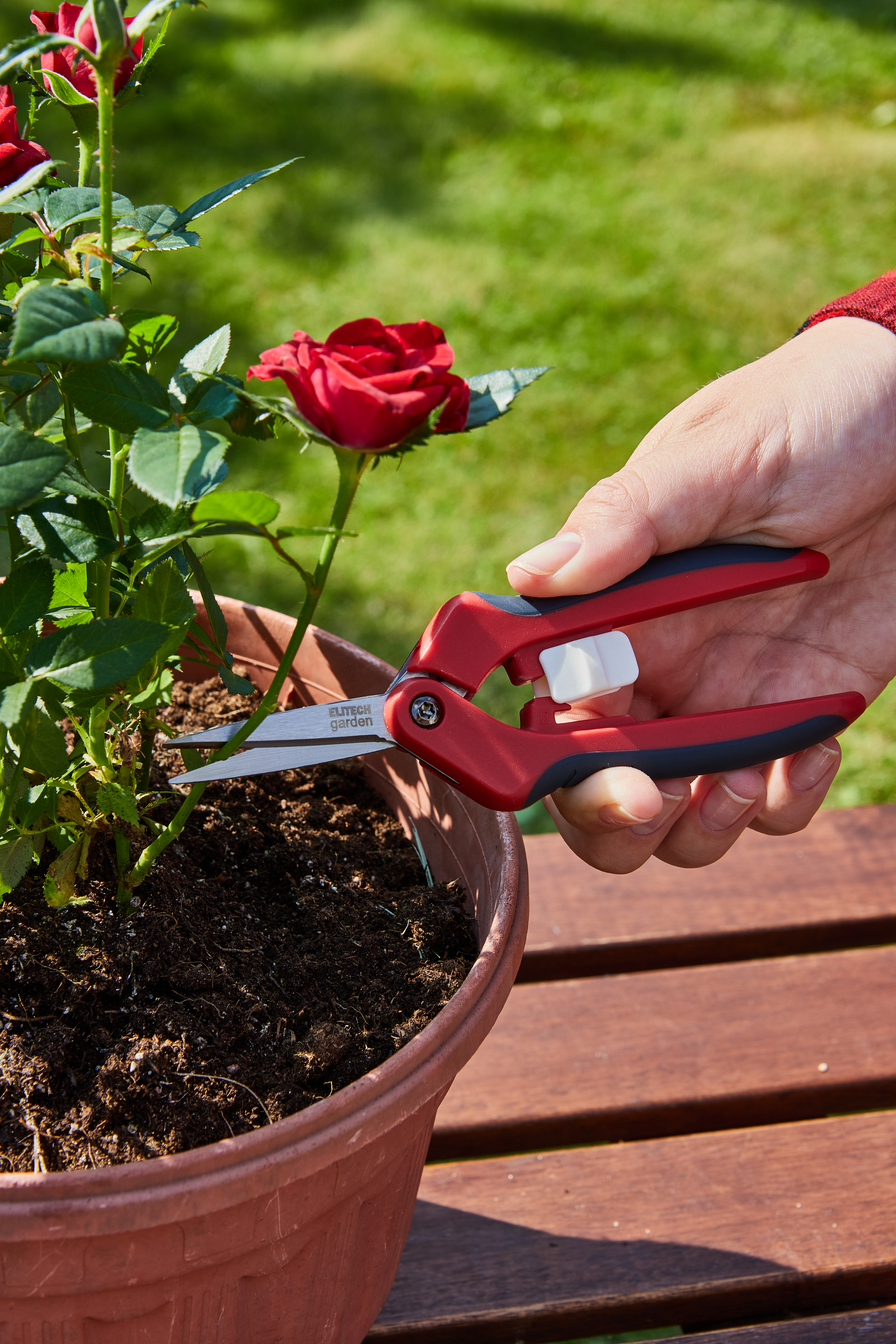 Ножницы садовые — 206417