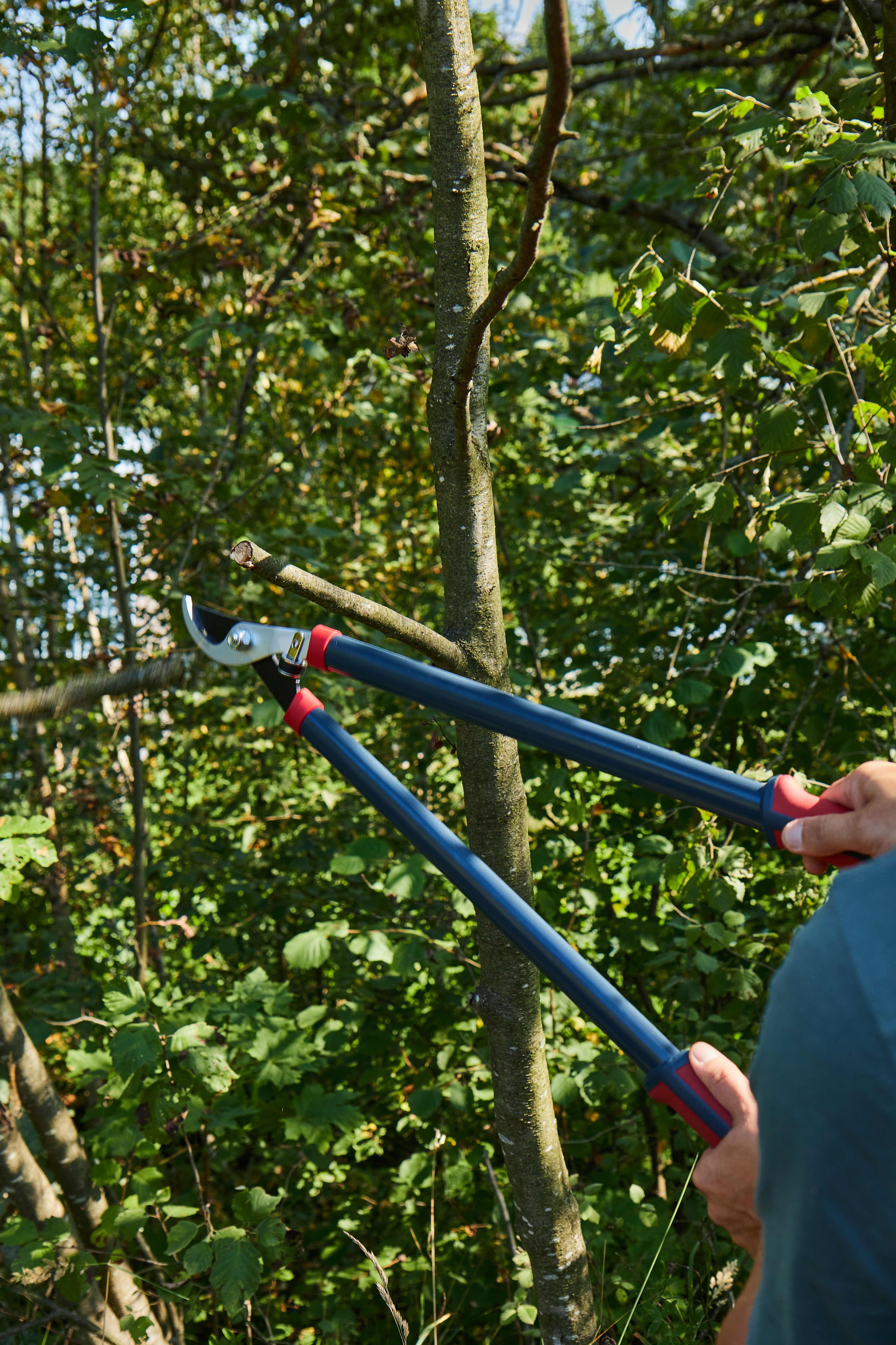 Сучкорез плоскостной — 206460